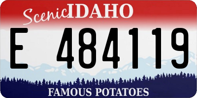 ID license plate E484119