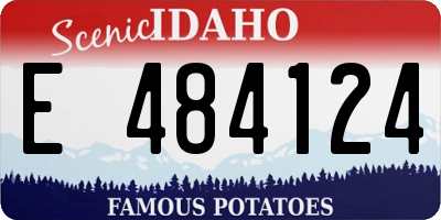 ID license plate E484124