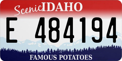 ID license plate E484194