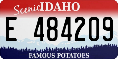 ID license plate E484209