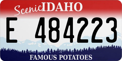 ID license plate E484223