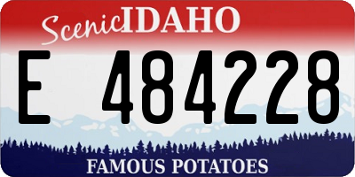 ID license plate E484228