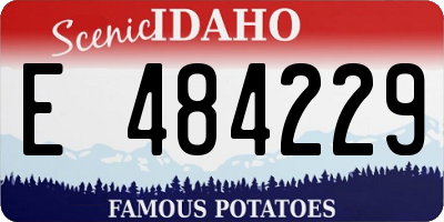 ID license plate E484229