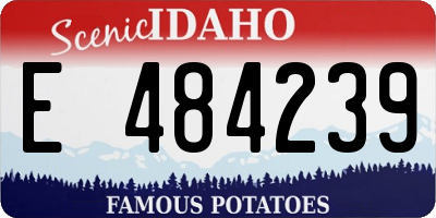 ID license plate E484239