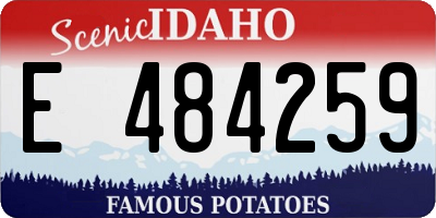 ID license plate E484259