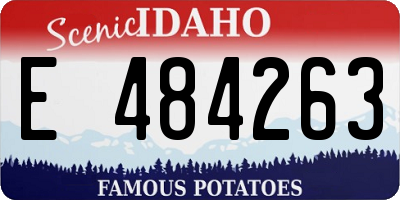 ID license plate E484263