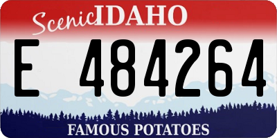 ID license plate E484264