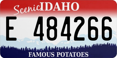 ID license plate E484266