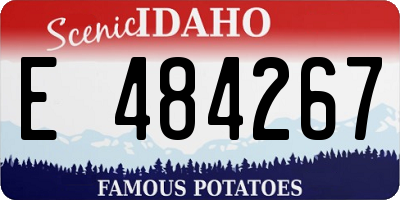 ID license plate E484267
