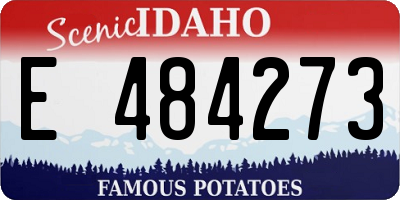 ID license plate E484273