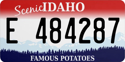 ID license plate E484287