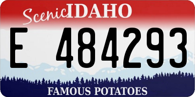 ID license plate E484293