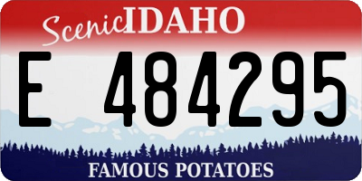 ID license plate E484295