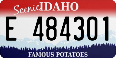 ID license plate E484301