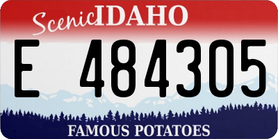 ID license plate E484305