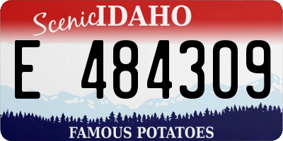 ID license plate E484309