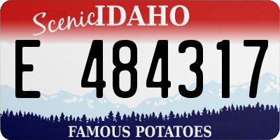 ID license plate E484317