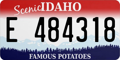ID license plate E484318