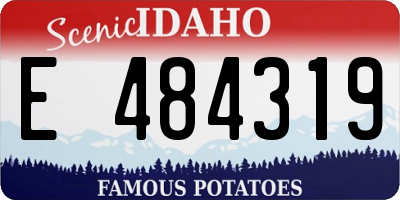 ID license plate E484319