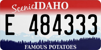 ID license plate E484333
