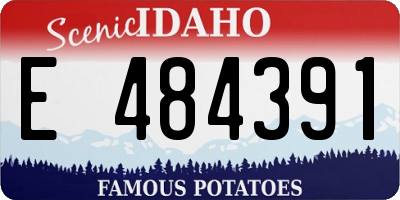 ID license plate E484391