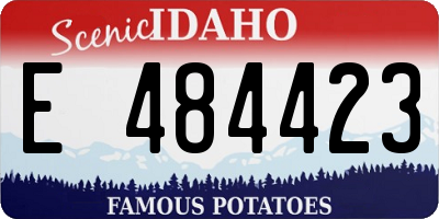 ID license plate E484423