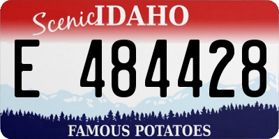 ID license plate E484428