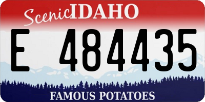 ID license plate E484435