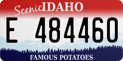 ID license plate E484460