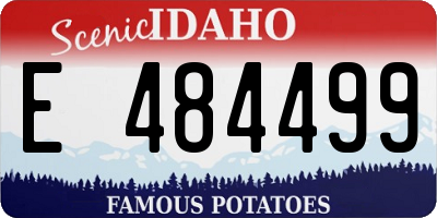 ID license plate E484499