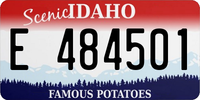 ID license plate E484501