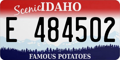 ID license plate E484502