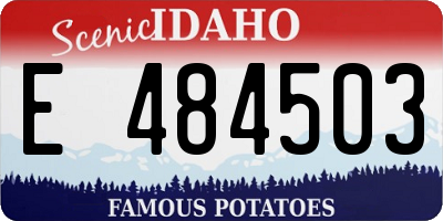 ID license plate E484503