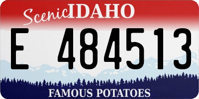 ID license plate E484513