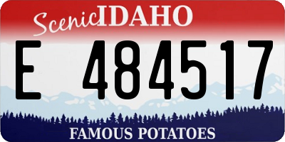 ID license plate E484517