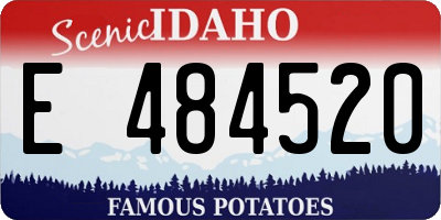 ID license plate E484520