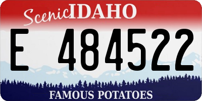 ID license plate E484522