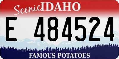 ID license plate E484524