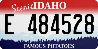 ID license plate E484528