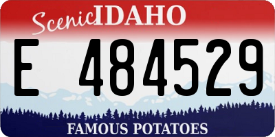 ID license plate E484529