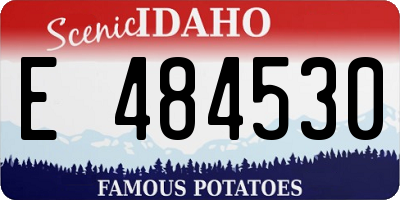 ID license plate E484530