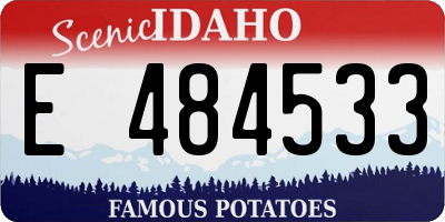 ID license plate E484533