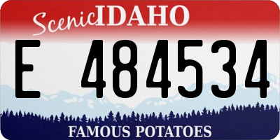 ID license plate E484534