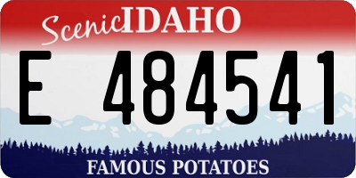 ID license plate E484541