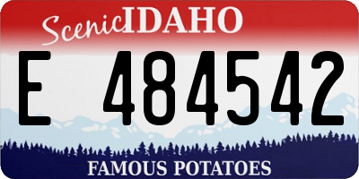ID license plate E484542