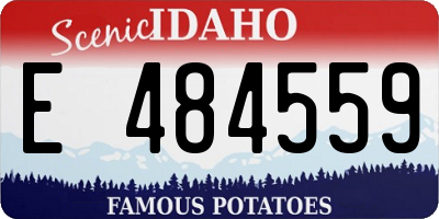 ID license plate E484559