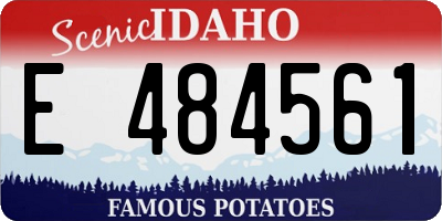 ID license plate E484561