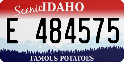 ID license plate E484575