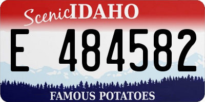 ID license plate E484582