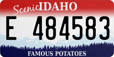 ID license plate E484583